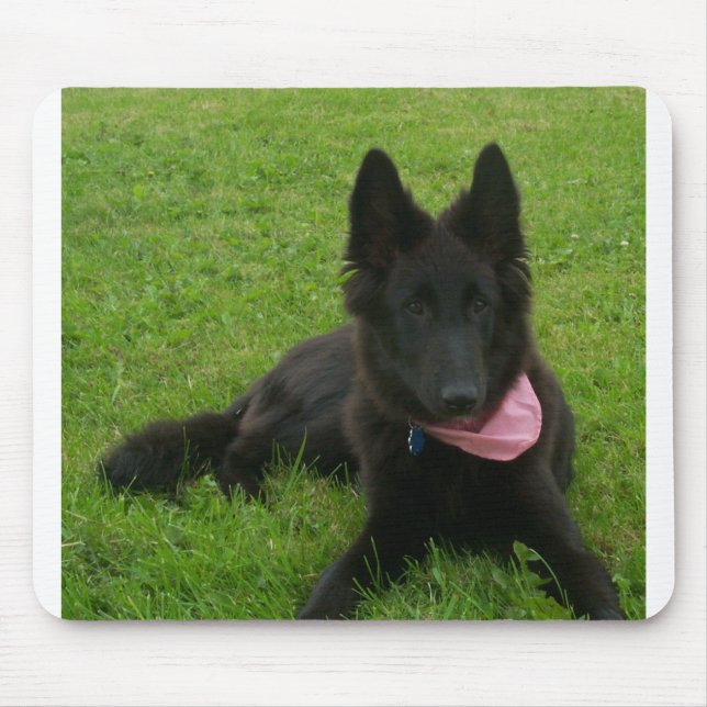 Belgian_Shepherd_Groenendael_puppy Mouse Pad (Front)