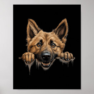 Belgian Shepherd Laekenois Dog Mum Dad Peeking Poster