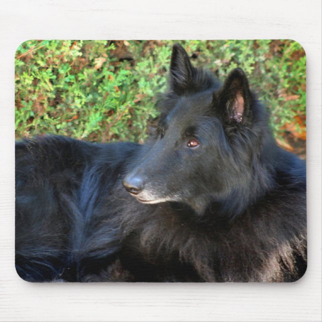 Belgian Shepherd mousepad (Front)