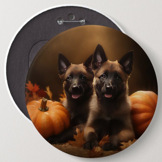 Belgian Shepherd Puppy Autumn Delight Pumpkin 6 Cm Round Badge (Front & Back)