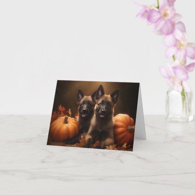 Belgian Shepherd Puppy Autumn Delight Pumpkin Card (Orchid)