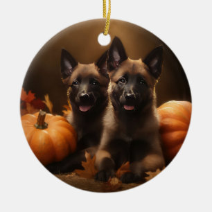 Belgian Shepherd Puppy Autumn Delight Pumpkin Ceramic Ornament