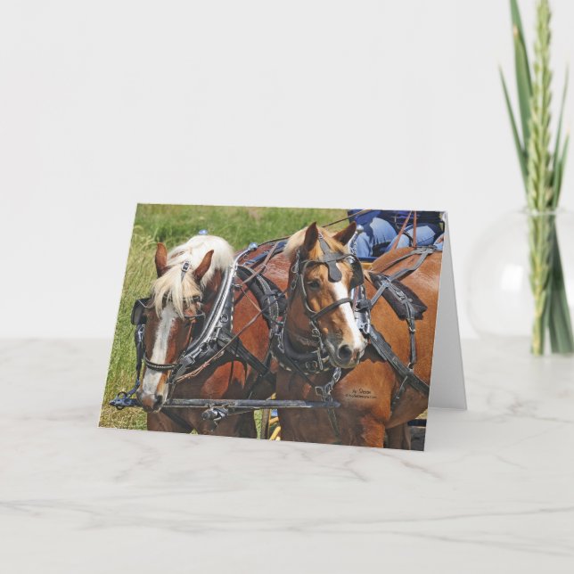 Belgian Team Card (Front)