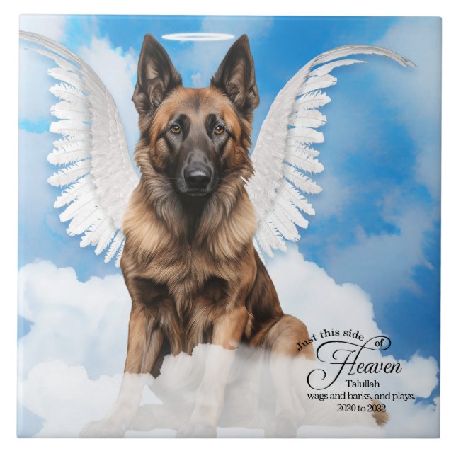 Belgian Tervuren Angel Personalised Pet Memorial Ceramic Tile (Front)