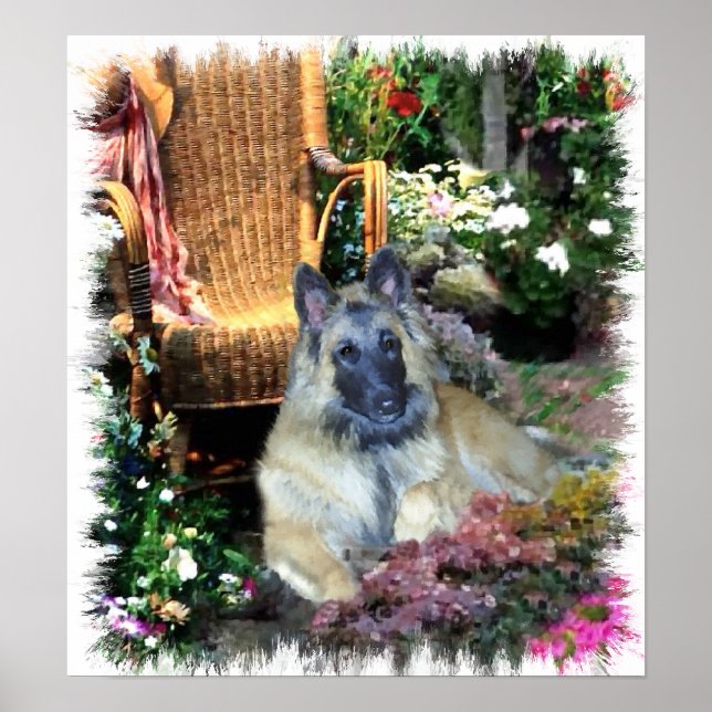 Belgian Tervuren Art Print (Front)