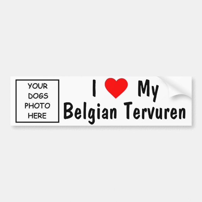 Belgian Tervuren Bumper Sticker (Front)