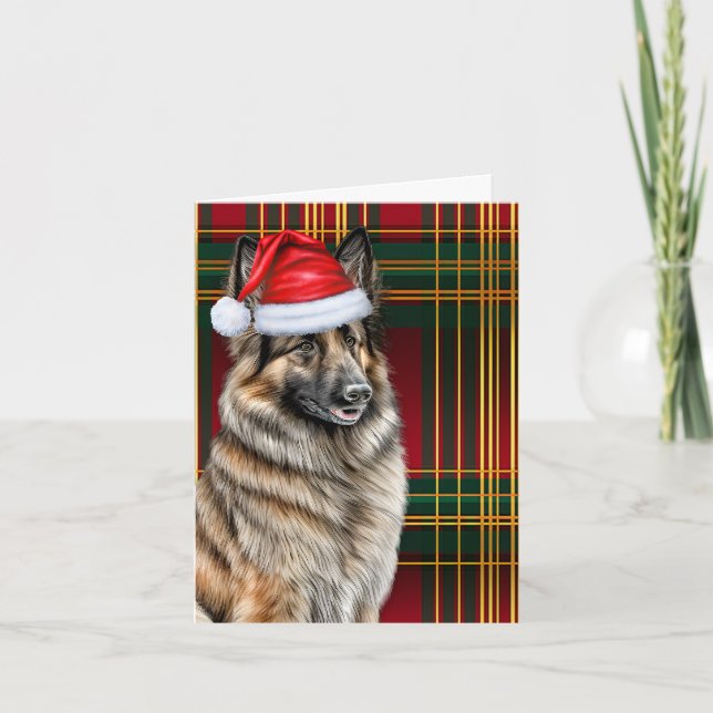 Belgian Tervuren Christmas Dog Holiday Plaid Card (Front)