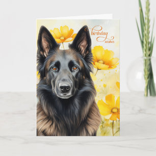 Belgian Tervuren Dog and Golden Poppies Birthday Card