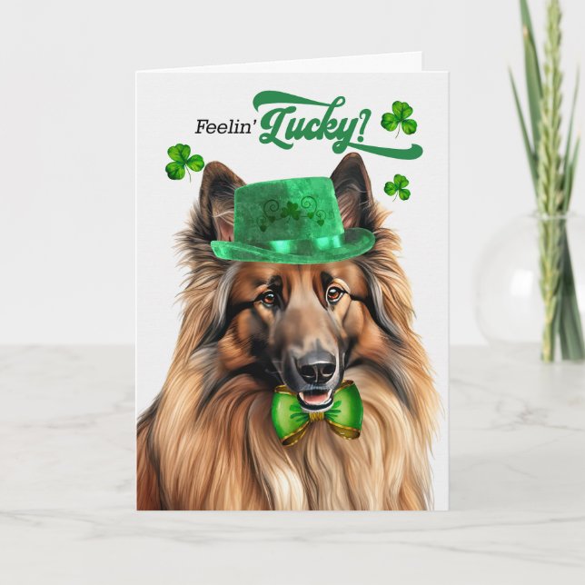 Belgian Tervuren Dog Lucky St Patrick's Day Holiday Card (Front)