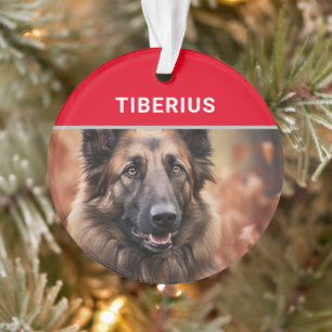 Belgian Tervuren Dog's Name and Photo Christmas Ornament