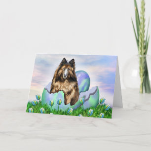 Belgian Tervuren Easter Card