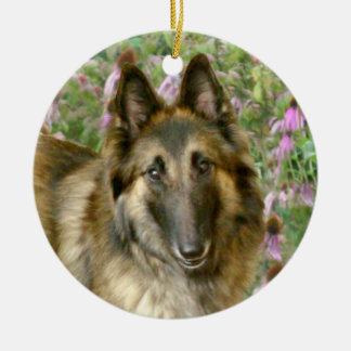 Belgian Tervuren Freidnship Ornament
