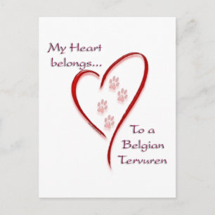 Belgian Tervuren Heart Belongs Postcard