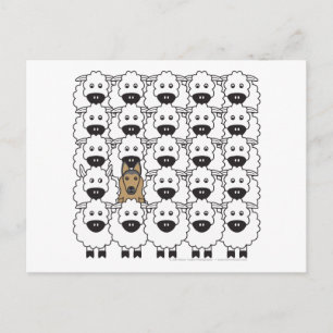 Belgian Tervuren in the Sheep Postcard