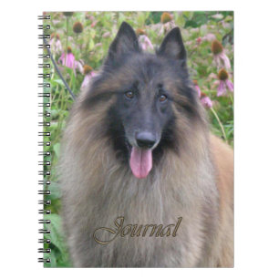 Belgian Tervuren Journal