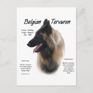 Belgian Tervuren Meet the Breed Postcard