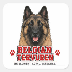 🐾 Belgian Tervuren Owner Gift🐾 Square Sticker