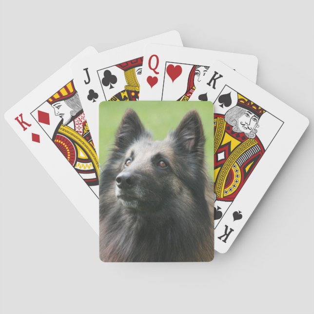 Belgian Tervuren Playing Cards (Back)