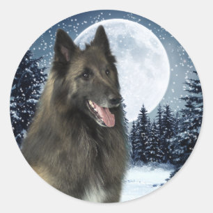 Belgian Tervuren Sticker