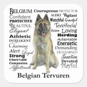Belgian Tervuren Stickers