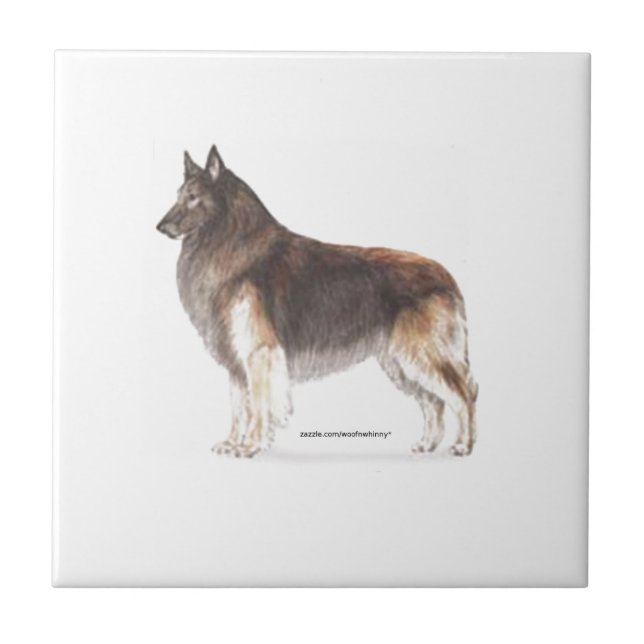 Belgian Tervuren Tile (Front)