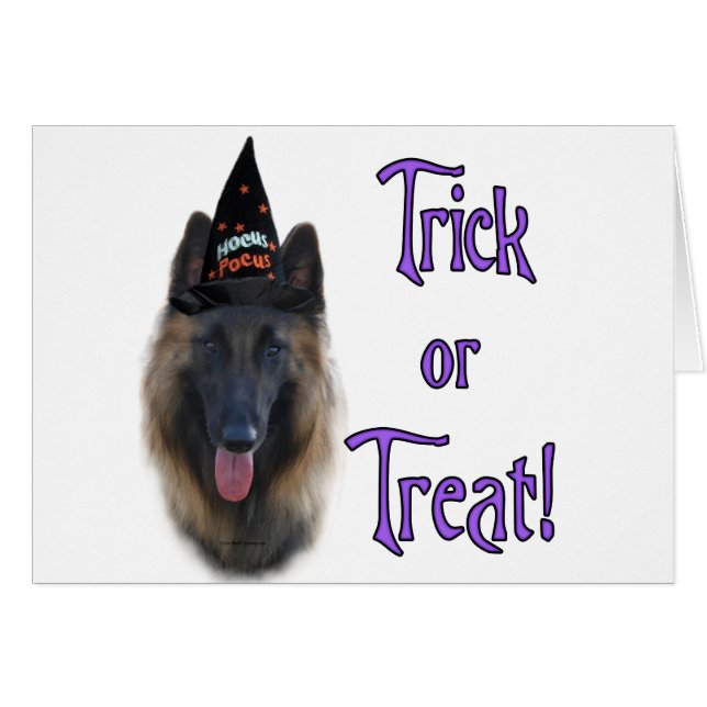 Belgian Tervuren Trick (Front Horizontal)