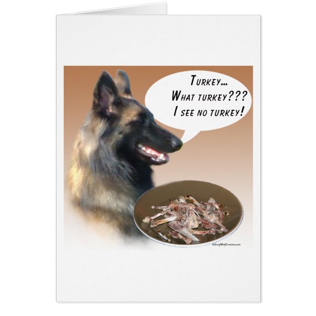 Belgian Tervuren Turkey (Front)