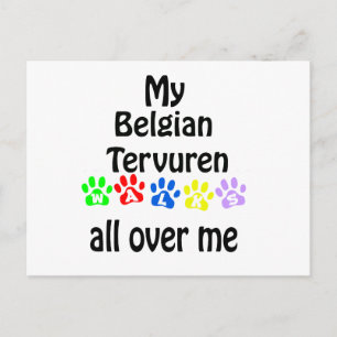 Belgian Tervuren Walks Design Postcard