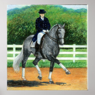 Belgian Warmblood Dressage Horse Portrait Poster