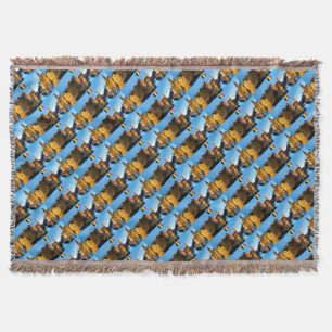 Belgique Mediaeval Bruges - Pro Photo Throw Blanket