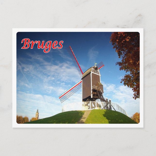 Belgium - Bruges - Moulin - Postcard (Front)