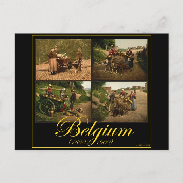 Belgium Dog-Cart Milk Seller Vintage Images Postcard (Front)