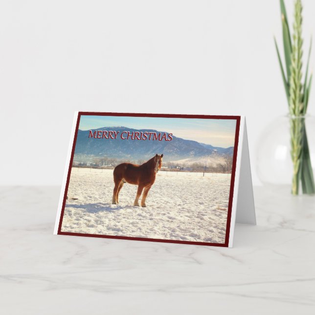 Belgium Draught   Horse Christmas Greeting Card (Front)