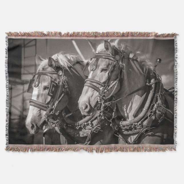 Belgium draught horses throw blanket (Front)