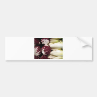 Belgium Endigo Bumper Sticker