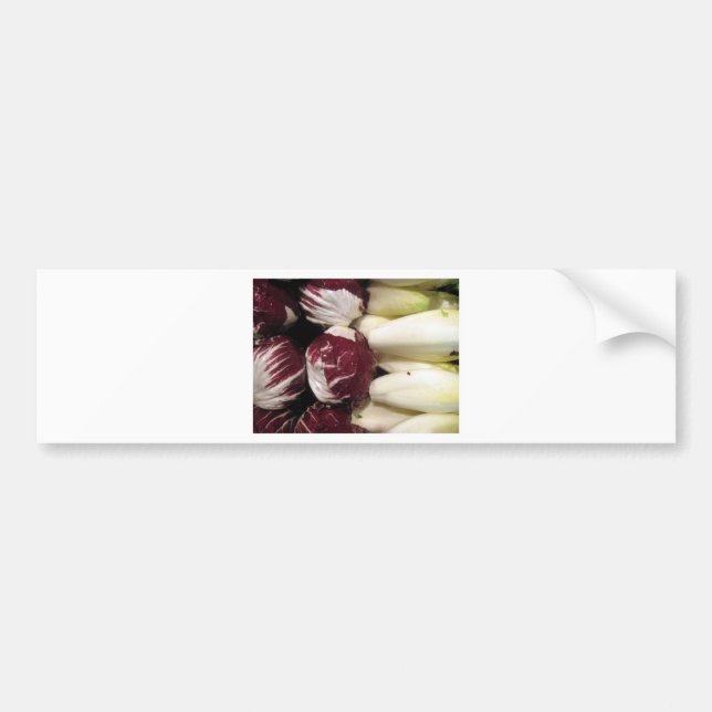 Belgium Endigo Bumper Sticker (Front)