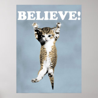 Believe Cat Poster