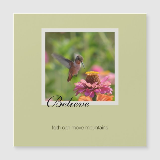 Believe Hummingbird Pink Zinnia Flower (Front)