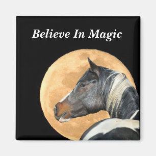 Believe in Magic Magnet with paint horse and full