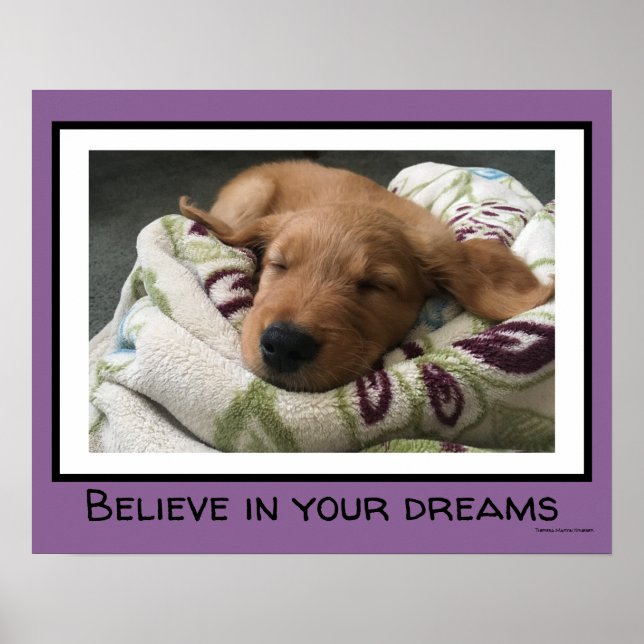 Believe in Your Dreams Poster (Front)
