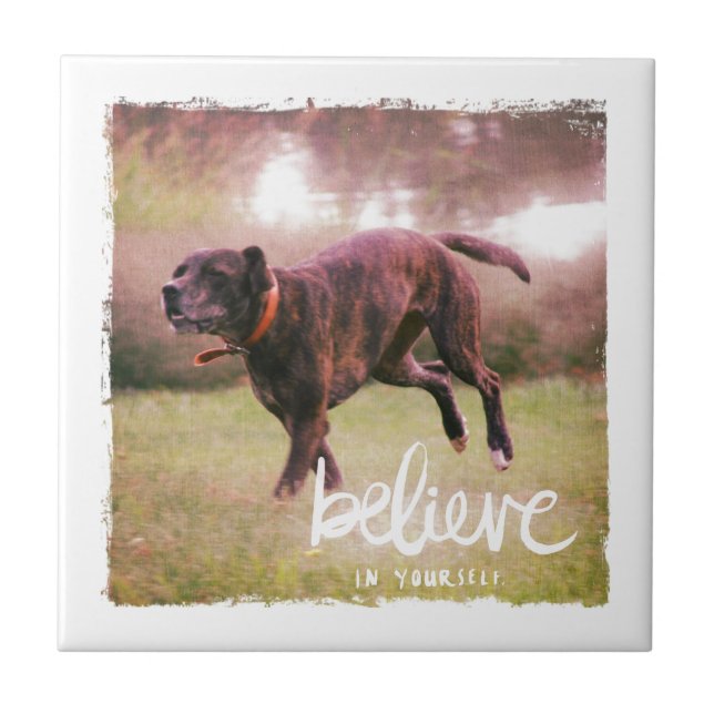 Believe in Yourself Dog Ceramic Tile (Front)
