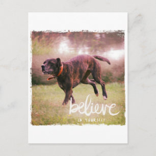 Believe in YourSelf Dog Postcard