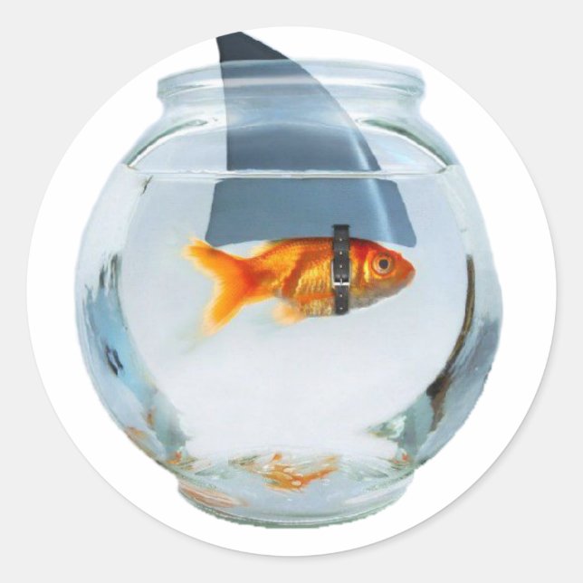 Believe in yourself fish classic round sticker (Front)