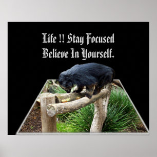 Believe In Yourself Message With Bearcat, Poster
