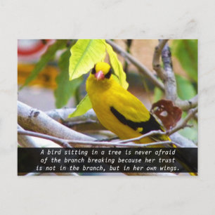 Believe in yourself, Yellow Bird Perched on Branch Postcard