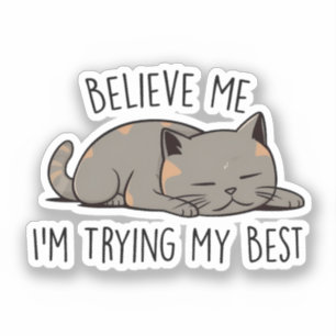 Believe Me, I’m Trying My Best – Sleeping Cat