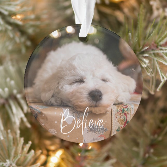 Believe Personalised Photo Christmas Holiday Ornament (Tree)
