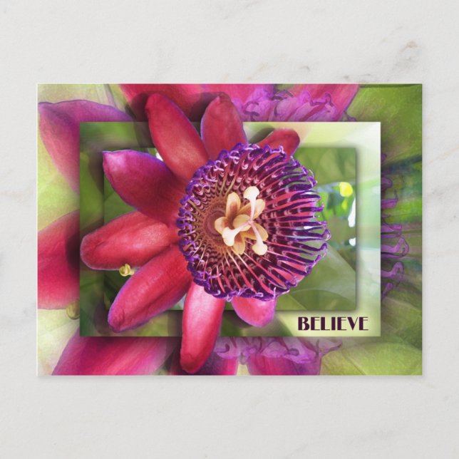 Believe Postcard (Front)