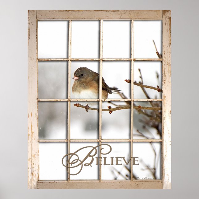 BELIEVE POSTER - BIRD THROUGH WINDOW (Front)