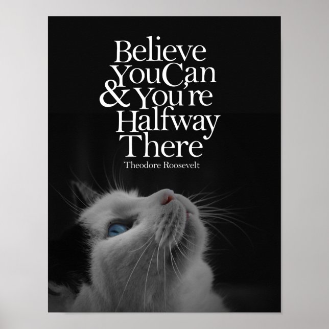 Believe You Can Beautiful Cat Motivational Quote Poster (Front)